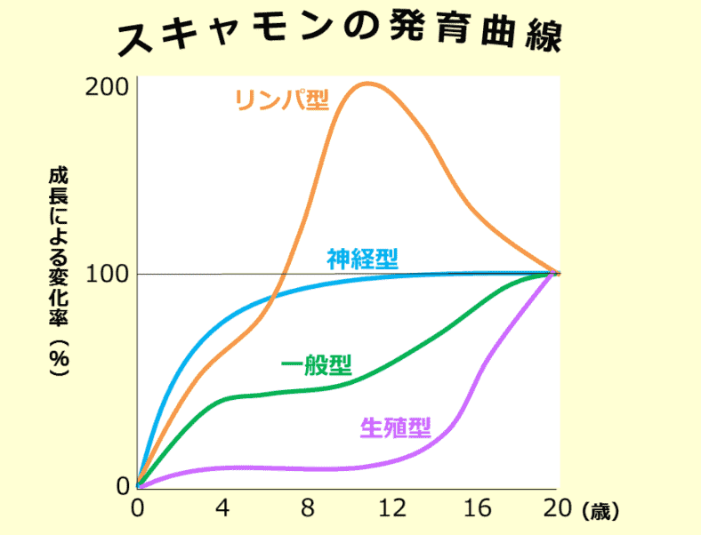 スキャモンの発育曲線