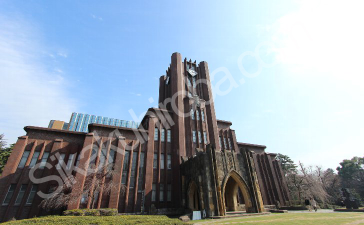 東京大学