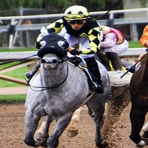 競馬騎手になるには？必要な身長などの条件から仕事内容・年収まで解説