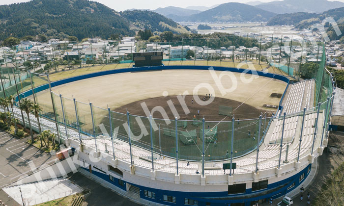 プロ野球審判