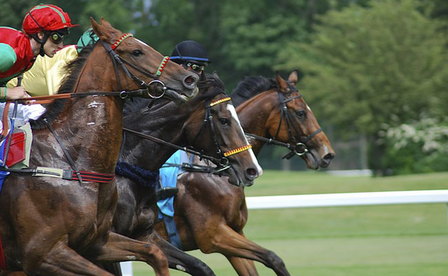 競馬