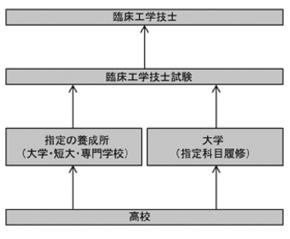 臨床工学技士