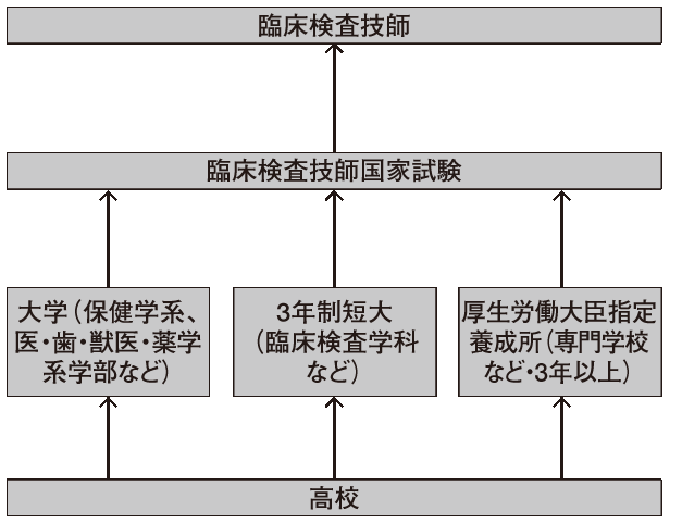 臨床検査技師になるには