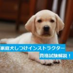 座る犬