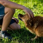 犬と男の子