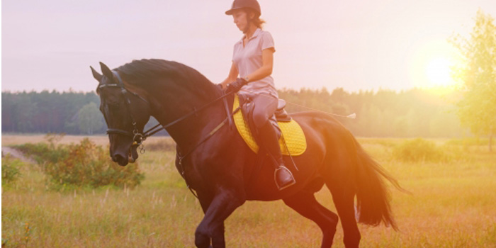 競馬学校