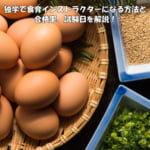 独学で食育インストラクターになる方法と合格率、試験日を解説！