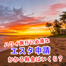 エスタ申請の料金は幾らで代行の金額は高額？自分で申請はできる？