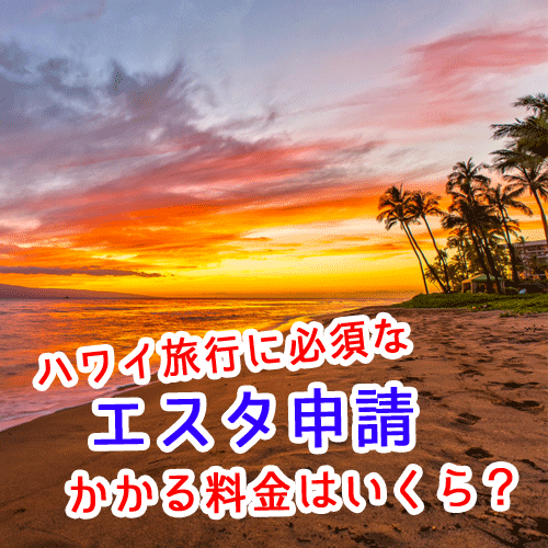 エスタ申請の料金は幾らで代行の金額は高額？自分で申請はできる？