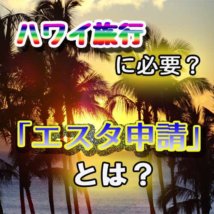 エスタ申請とビザの違いは？