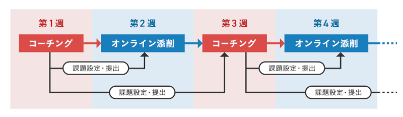 アガルート コーチングオプション