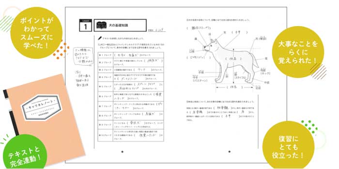 キャリカレのトリマー講座のオリジナルノートのポイント