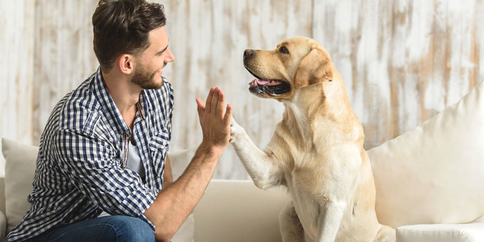 犬と人_タッチ