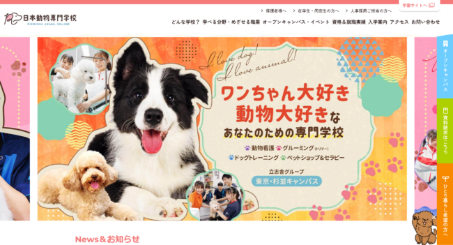 ドッグトレーナーになるには？　日本動物専門学校公式サイト